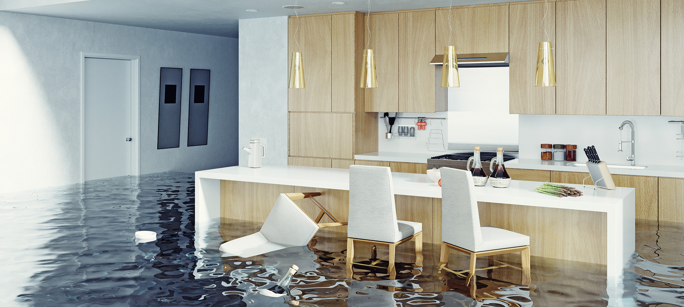 Water Damage Restoration and Remediation Services